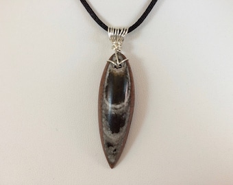 Fossilized Orthoceras Pendant