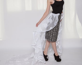 short skirt with long train