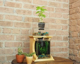 Aquaponic Planter, Aquaponic Garden, Herb Garden, Home Garden, Indoor planter