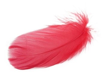 Red Goose Coquille Feathers (2-5") (Bulk)