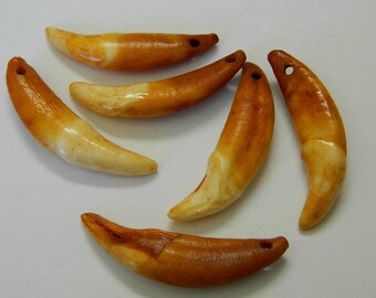 1 Wolf Tooth Amulet - Natural Authentic Wolf Teeth Amulet - Ferocity, Protection, Strength Amulet - Detash Emporium
