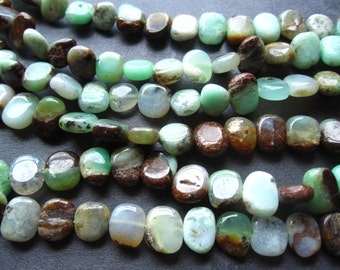 Bio Chrysoprase beads tabular smooth polished semiprecious stone - 10mm X 8mm