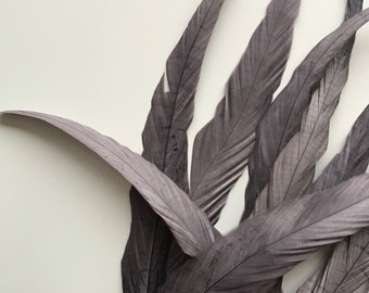 VOGUE Coque Tail Feathers /Steel, Pewter grey / 203