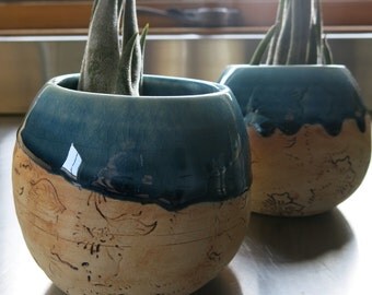 Large Handmade Ceramic Potted Airplant Tillandsia One of a Kind Gift Idea Home Decor Live Plant, Artisan Pottery by Licia Lucas Pfadt