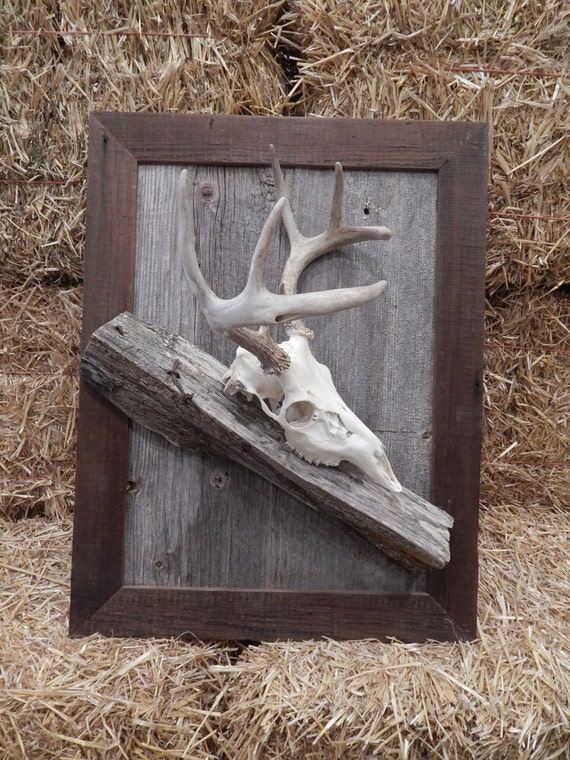 custom-made-deer-skull-barnwood-fence-post-mounting-plaque