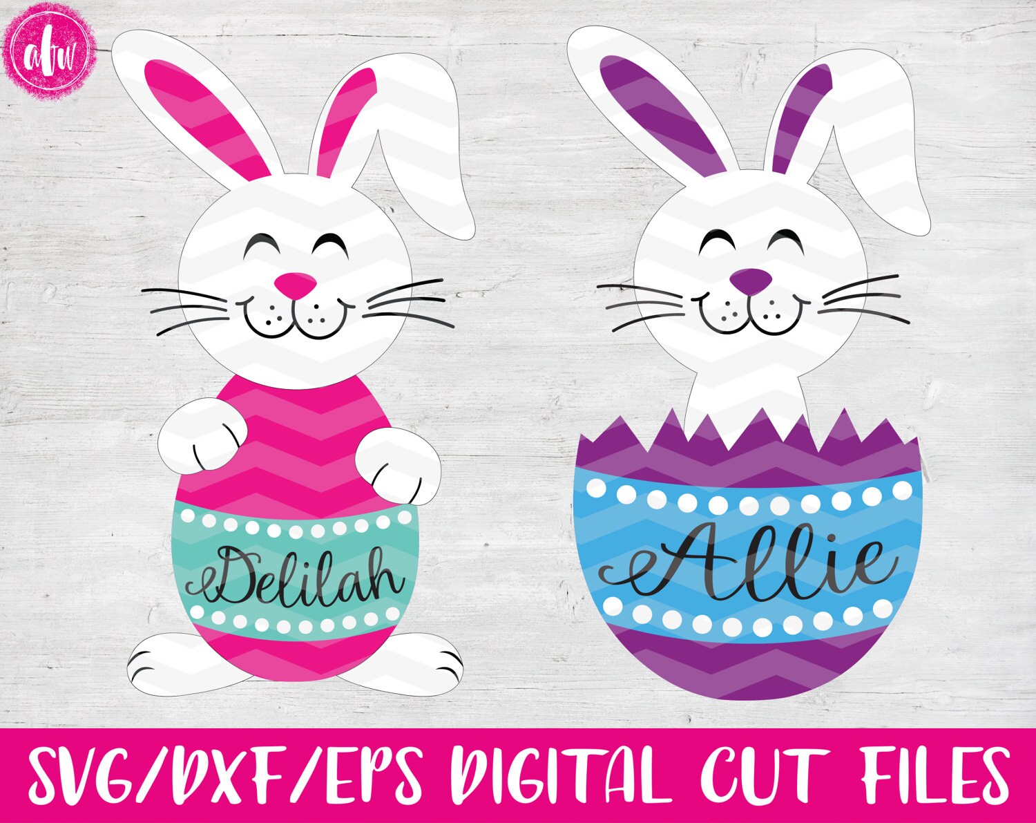 Download Easter Bunny in Cracked Egg, SVG, DXF, EPS, Cut File ...
