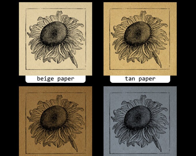 Printable Flower Sunflower Graphic Printable Digital Image Flower Antique Instant Download Vintage Clip Art Jpg Png Eps HQ 300dpi No.115