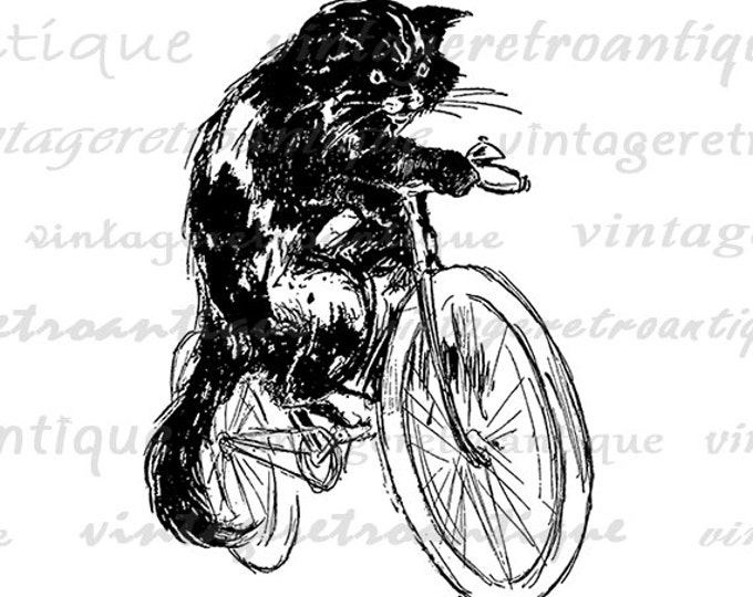 Printable Image Cat Riding Bicycle Digital Download Graphic Antique Clip Art Jpg Png Eps HQ 300dpi No.1851