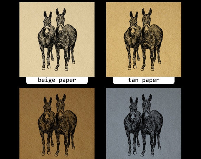 Printable Image Two Mules Digital Horse Download Illustration Graphic Vintage Clip Art Jpg Png Eps HQ 300dpi No.3179