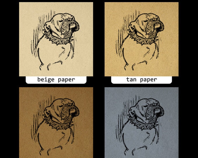 Printable Image Bulldog Dog Graphic Illustration Digital Download Vintage Clip Art Jpg Png Eps HQ 300dpi No.3150