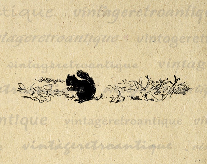 Digital Graphic Squirrel Silhouette Image Download Printable Vintage Clip Art Jpg Png Eps HQ 300dpi No.561