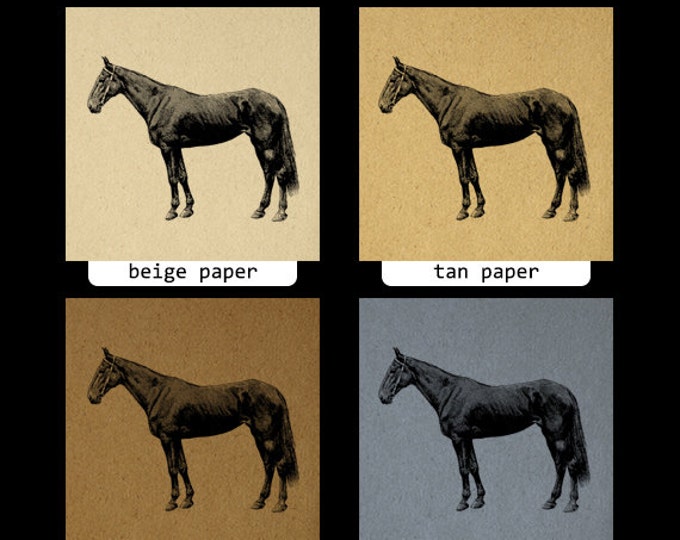 Digital Printable Horse Graphic Animal Image Download Artwork Vintage Clip Art Jpg Png Eps HQ 300dpi No.3043