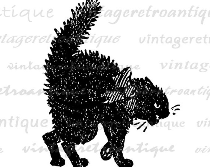 Printable Black Cat Digital Download Graphic Image Artwork Jpg Png Eps HQ 300dpi No.2369