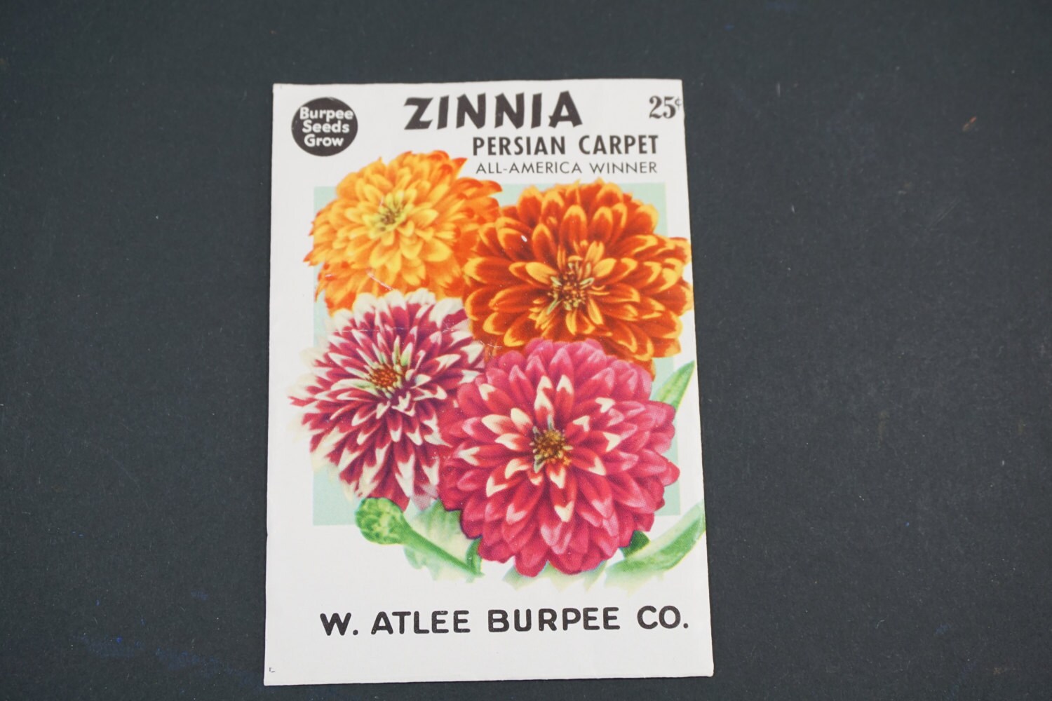 Seed Package Burpee Seeds W. Atlee Burpee Co. ZINNIA