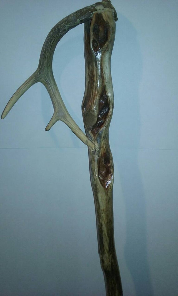Diamond Willow Antler Handle Cane