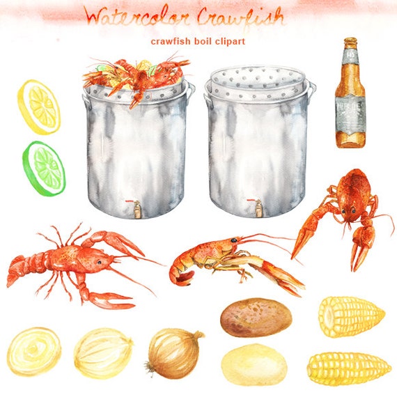 Watercolor Crawfish Boil Clipart digital printable clipart