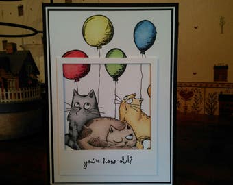 Cat Birthday 'Photo' Card, You're How Old Birthday Card