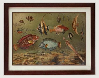 Fish wall art | Etsy