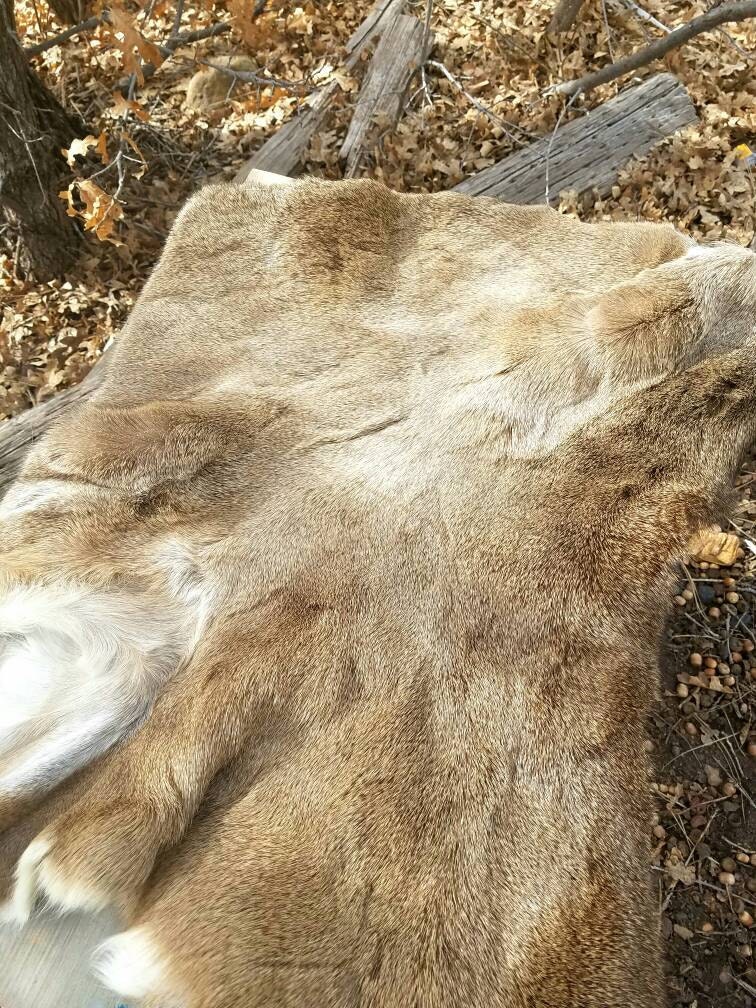 Whitetail Deer Hide Deer Skin Tanned Leather Pelt Piece