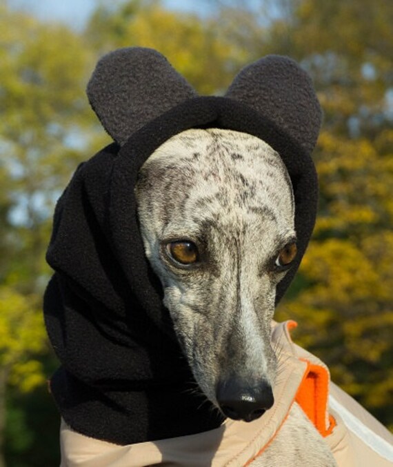 Winter dog snood with ears fleece dog snood dog hat / hood