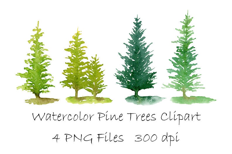 Watercolor Pine Trees Clipart, PNG Instant Download, Hand 