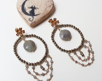 Shiny elegance earrings