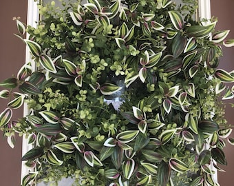 Eucalyptus Wreath, Spring Wreath, Summer Wreath, Front Door Wreath, Elegant Wreath