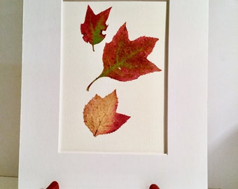 Real Pressed Flower Fern Leaf Botanical Art Herbarium of Oak Leaf Hydrangea Leaves 8x10 OR 11x14