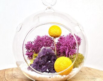 DIY Amethyst Crystal Cluster Air Plant Terrarium Kit ~ 4.5 Clear Glass Hanging Terrarium, accessories, and Tillandsia Plant CHRISTMAS GIFT