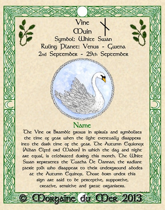 Druid Tree Astrology Zodiac Sign birtch