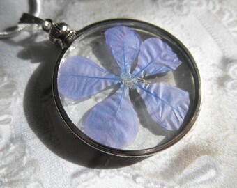 Periwinkle Plumbago Blossom Pressed Flower Looking Glass Pendant-Symbolizes Spiritual Desires-Gifts Under 30-Nature's Wearable Art