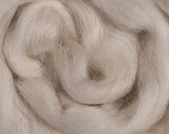 Corriedale Cross Wool Fiber - from Ashland Bay