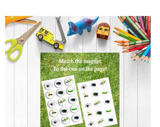 Insect Magnets - Montessori Learning - Entomology - Nature - Bugs - Fridge magnets - Refrigerator magnets - Science curriculum