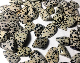 3 Tumbled Dalmatian Jasper Small Size