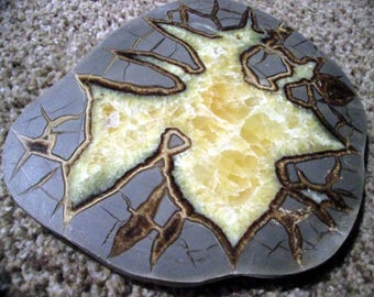 Utah Septarian Nodule Slab Geode Nodule, Calcite, Aragonite, Utah Dragon Stone Cut Polished