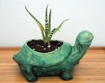 Turtle Planter | Grandma | Dads | Grads | Wedding