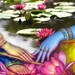Kerala Rose