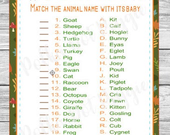 baby animal match game answer key