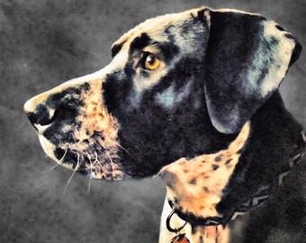 Custom Pet Portrait, Digital PET PAINTING from your photo, Free Shipping!