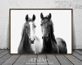 Horse wall art | Etsy