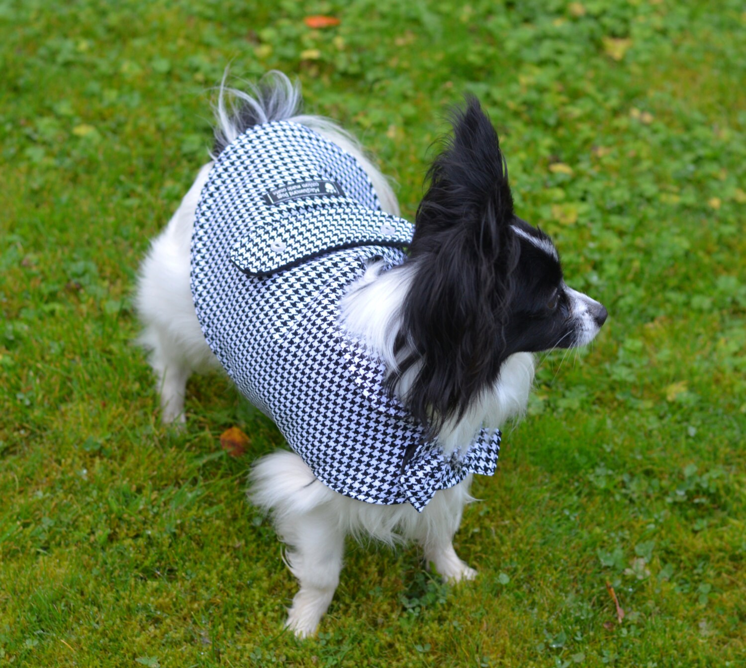 hounds tooth cushion