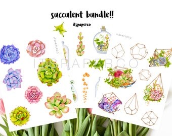 Succulent Value Bundle - Bullet Journal Stickers - Planner Stickers - Decorative Stickers - WS002, WS001, WS004