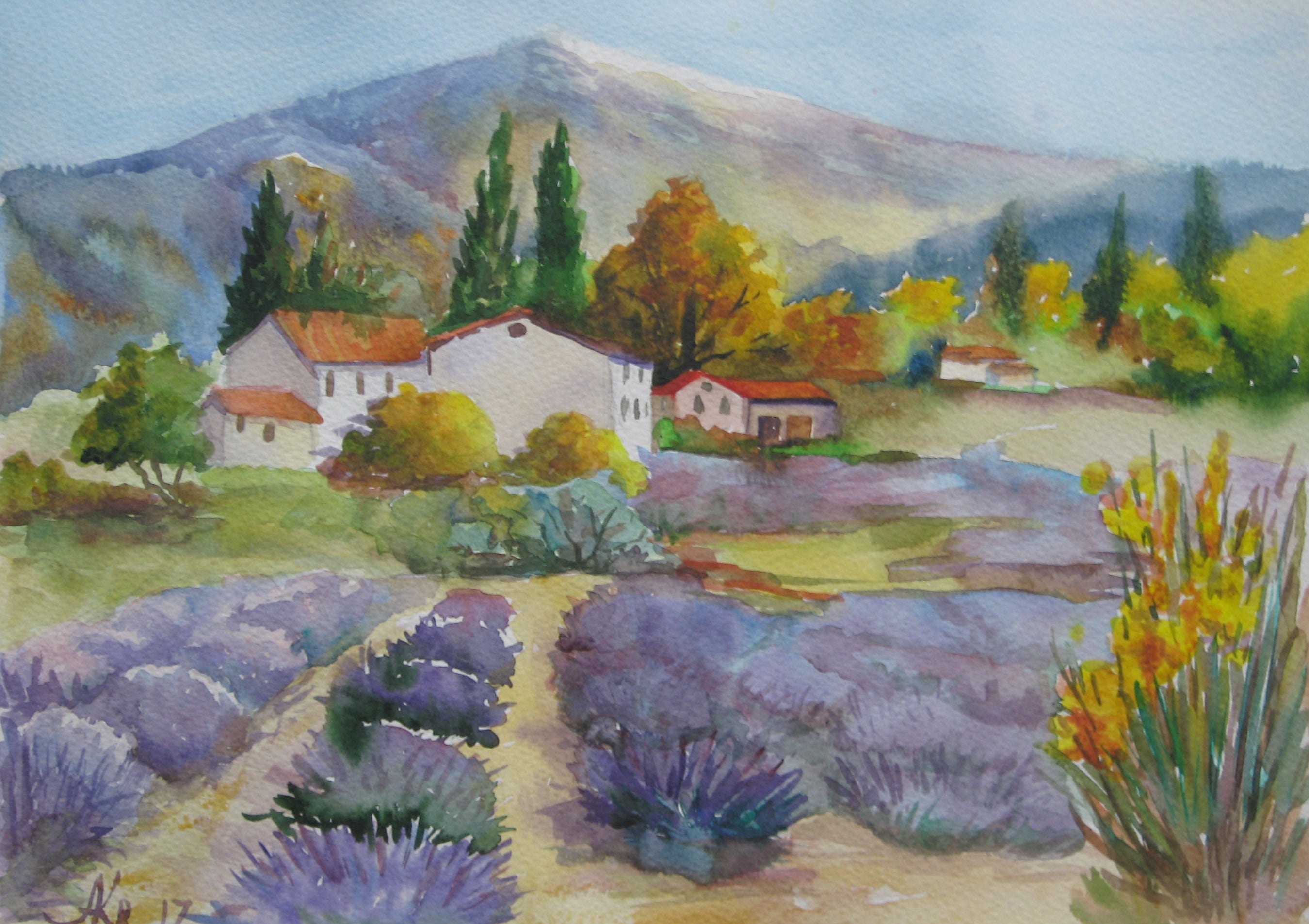 Original watercolor Landscape of provence Lavender Field