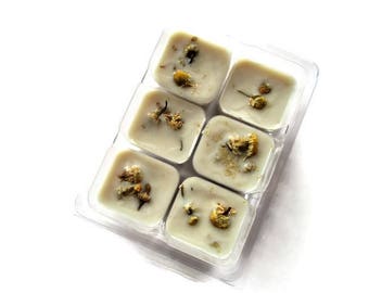 Soy Wax Melts - Wax Melter - Wax Tarts - Room Deodorizer - Soy Cubes - Soy Tarts - Scented Wax Melts - Soy Wax - Eco Friendly Wax Melts