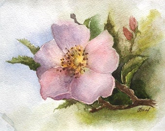 Watercolour Wild Roses Wild rose painting | Etsy