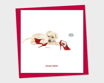 jimmy chews