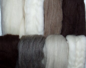 9oz Natural wool roving for felting, mixed bag, spinning fiber, dolls hair, wool roving, wool tops, white roving, brown roving, 255g