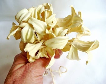 Lot of (7) Old Cream Millinery Flowers Vintage Fabric Shabby Rolled Stem Antique 3852