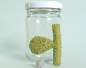 Gall Bladder Anatomical Specimen SALE