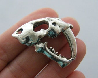 BULK 5 Saber tooth tiger skull charms antique silver tone A491